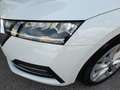 Skoda Octavia Combi STYLE 2,0 TDI DSG *LEDER / LED MIT DYN BLINKER / VIRTUELL / NAVI / ACC / E-KLAPPE / KEYLESS* Weiß - thumbnail 16
