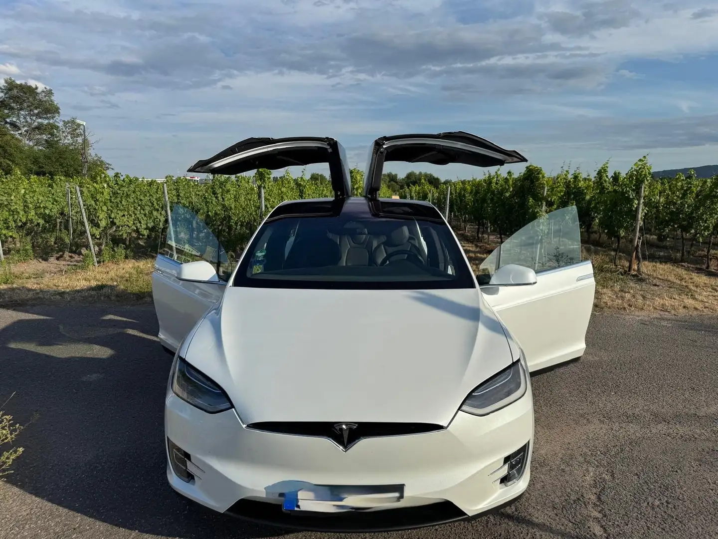 Tesla Model X Model X 100D /22 Zoll / neuer Akku Bianco - 1