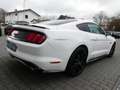 Ford Mustang 5.0 GT Leder |Navi |Shaker |Keyless |Cam Biały - thumbnail 5