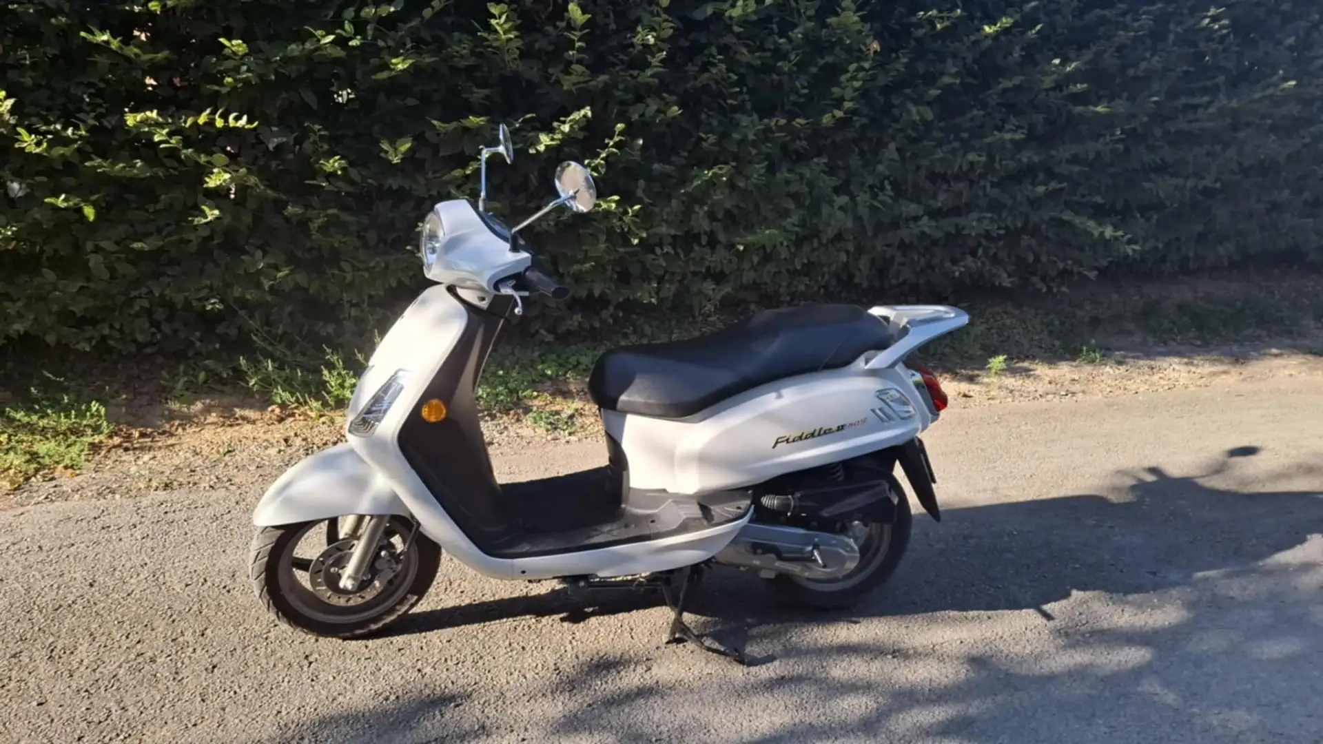 SYM Fiddle 50 Fehér - 1