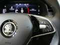 Skoda Scala 1.0 TSI 81KW (110 CV) DSG Ambitio Rojo - thumbnail 17