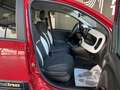 Fiat Panda Pandina Cross 1.0 firefly hybrid s&s 70cv Vert - thumbnail 20