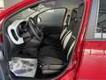 Fiat Panda Pandina Cross 1.0 firefly hybrid s&s 70cv Vert - thumbnail 14