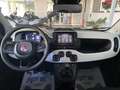 Fiat Panda Pandina Cross 1.0 firefly hybrid s&s 70cv Vert - thumbnail 18