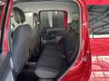 Fiat Panda Pandina Cross 1.0 firefly hybrid s&s 70cv Vert - thumbnail 16