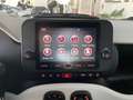 Fiat Panda Pandina Cross 1.0 firefly hybrid s&s 70cv Vert - thumbnail 12