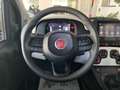 Fiat Panda Pandina Cross 1.0 firefly hybrid s&s 70cv Vert - thumbnail 17