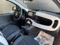 Fiat Panda Pandina Cross 1.0 firefly hybrid s&s 70cv Vert - thumbnail 21