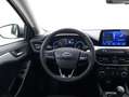 Ford Focus Hybrid Business 1.0 Mild Hybrid 125CV Argento - thumbnail 11