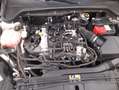 Ford Focus Hybrid Business 1.0 Mild Hybrid 125CV Argento - thumbnail 13