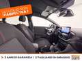 Ford Puma 1.0 ecoboost h st-line s&s 125cv Bianco - thumbnail 6
