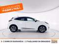 Ford Puma 1.0 ecoboost h st-line s&s 125cv Bianco - thumbnail 5