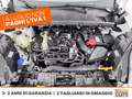 Ford Puma 1.0 ecoboost h st-line s&s 125cv Bianco - thumbnail 12