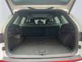 Skoda Kodiaq 2.0 RS TSI DSG 4x4 AHK Kamera Pano Wit - thumbnail 6
