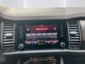 Skoda Kodiaq 2.0 RS TSI DSG 4x4 AHK Kamera Pano Wit - thumbnail 11