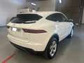 Jaguar E-Pace 2.0D I4 SE FWD 150 Blanco - thumbnail 4