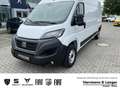 Fiat Ducato Easy Pro L4H2 140 HDi Wit - thumbnail 1