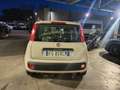 Fiat Panda Panda 1.2 Lounge 69cv Beige - thumbnail 3