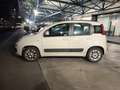 Fiat Panda Panda 1.2 Lounge 69cv Beige - thumbnail 5
