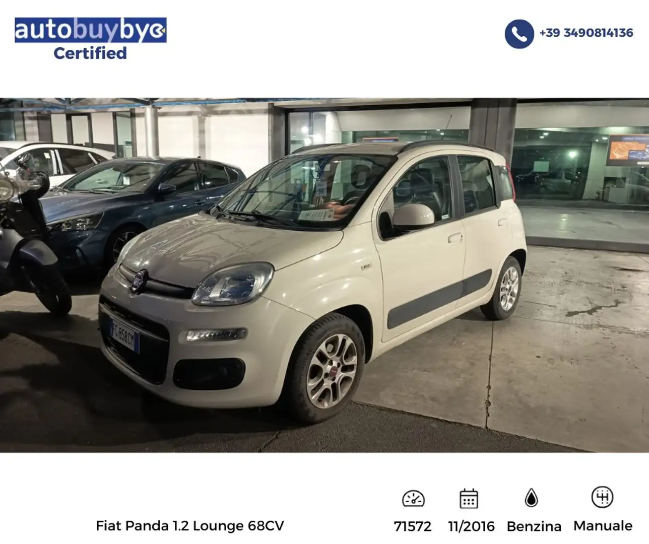 Fiat Panda Panda 1.2 Lounge 69cv Beige - 1