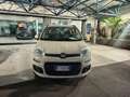 Fiat Panda Panda 1.2 Lounge 69cv Beige - thumbnail 2