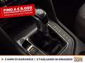 Volkswagen Tiguan 2.0 tdi life 150cv dsg Grigio - thumbnail 26