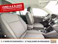 Volkswagen Tiguan 2.0 tdi life 150cv dsg Grigio - thumbnail 8