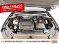 Volkswagen Tiguan 2.0 tdi life 150cv dsg Grigio - thumbnail 12