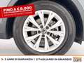Volkswagen Tiguan 2.0 tdi life 150cv dsg Grigio - thumbnail 15