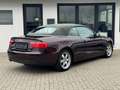 Audi A5 2.0 TDI Cabrio°8-Fach°ACC°Navi°SitzHzg° Mauve - thumbnail 3