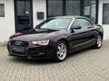 Audi A5 2.0 TDI Cabrio°8-Fach°ACC°Navi°SitzHzg° Mauve - thumbnail 1