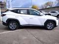 Hyundai TUCSON 1.6 TGDI Maxx Silver 4x2 Blanc - thumbnail 3