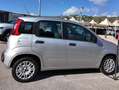 Fiat Panda Panda III 1.2 Easy s Argento - thumbnail 8