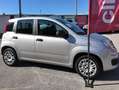 Fiat Panda Panda III 1.2 Easy s Argento - thumbnail 9