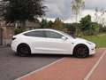 Tesla Model 3 Long Range Performance AWD 75 kWh | 462 PK | Camer Wit - thumbnail 11