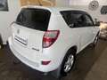 Toyota RAV 4 RAV4 2,2 D-4D 150 D-CAT 4WD ExecutiAut. Executive Weiß - thumbnail 19