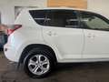 Toyota RAV 4 RAV4 2,2 D-4D 150 D-CAT 4WD ExecutiAut. Executive Weiß - thumbnail 8