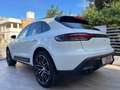 Porsche Macan 2.0 Tetto 21" Matrix Radar Tagliandi Iva esposta Blanc - thumbnail 5
