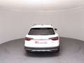 Audi A4 allroad 40 TDI quattro Weiß - thumbnail 6