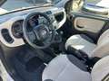 Fiat Panda 0.9*NATURAL POWER*LOUNGE*80CV*E6*CLIMA* Beige - thumbnail 10