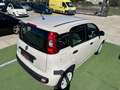 Fiat Panda 0.9*NATURAL POWER*LOUNGE*80CV*E6*CLIMA* Beige - thumbnail 14