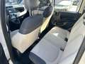 Fiat Panda 0.9*NATURAL POWER*LOUNGE*80CV*E6*CLIMA* Beige - thumbnail 7