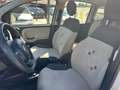 Fiat Panda 0.9*NATURAL POWER*LOUNGE*80CV*E6*CLIMA* Beige - thumbnail 11