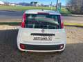 Fiat Panda Panda/Pandina Pandina 1.0 GSE Hybrid ICON Weiß - thumbnail 5