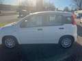 Fiat Panda Panda/Pandina Pandina 1.0 GSE Hybrid ICON Weiß - thumbnail 3