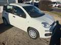 Fiat Panda Panda/Pandina Pandina 1.0 GSE Hybrid ICON Weiß - thumbnail 8