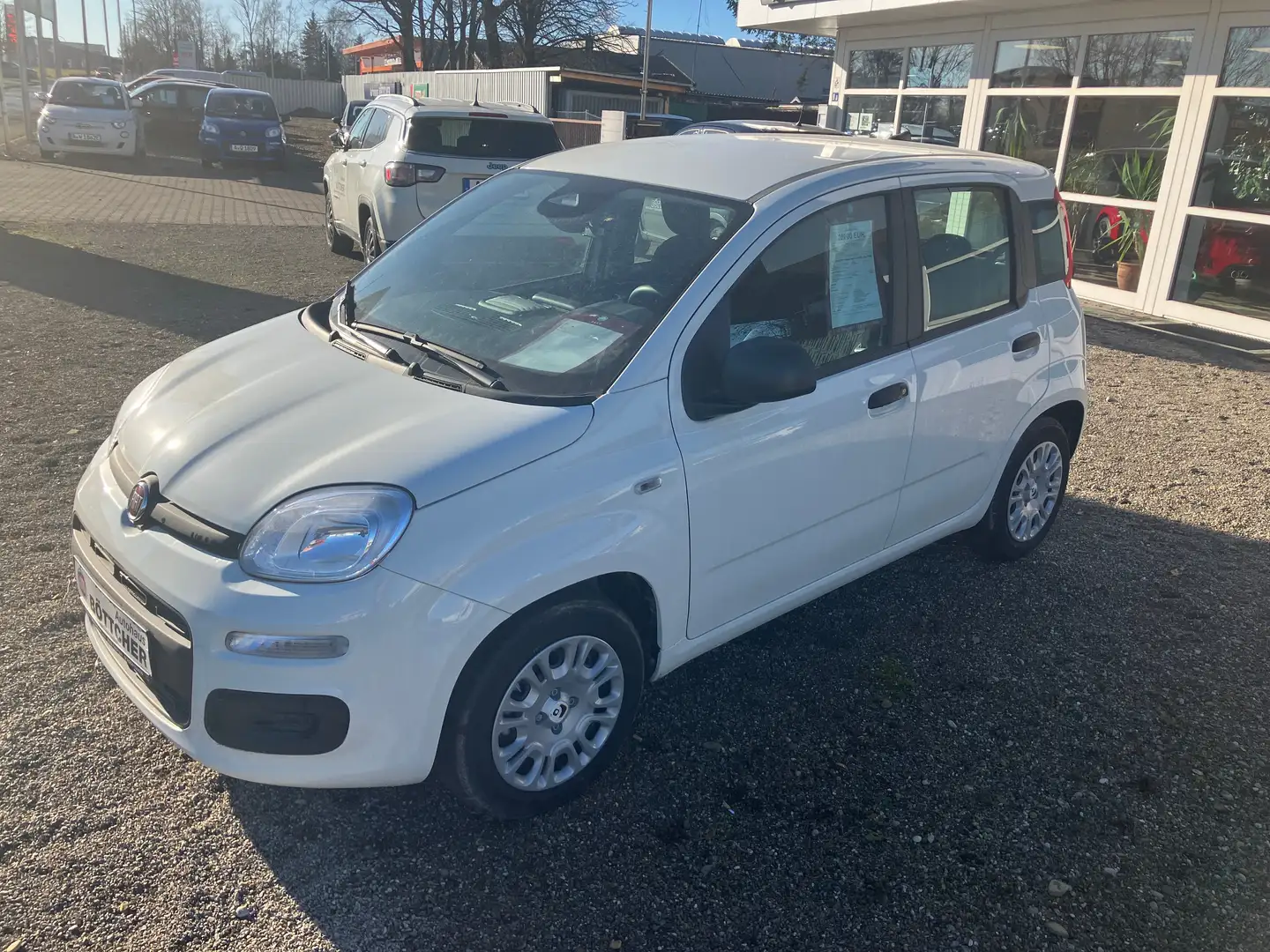 Fiat Panda Panda/Pandina Pandina 1.0 GSE Hybrid ICON Weiß - 2