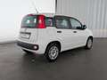 Fiat Panda Panda 1.2 8V Easy (EURO 6d-TEMP) KLIMA+RADIO+USB Weiß - thumbnail 6