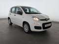 Fiat Panda Panda 1.2 8V Easy (EURO 6d-TEMP) KLIMA+RADIO+USB Weiß - thumbnail 5
