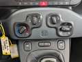 Fiat Panda Panda 1.2 8V Easy (EURO 6d-TEMP) KLIMA+RADIO+USB Weiß - thumbnail 20